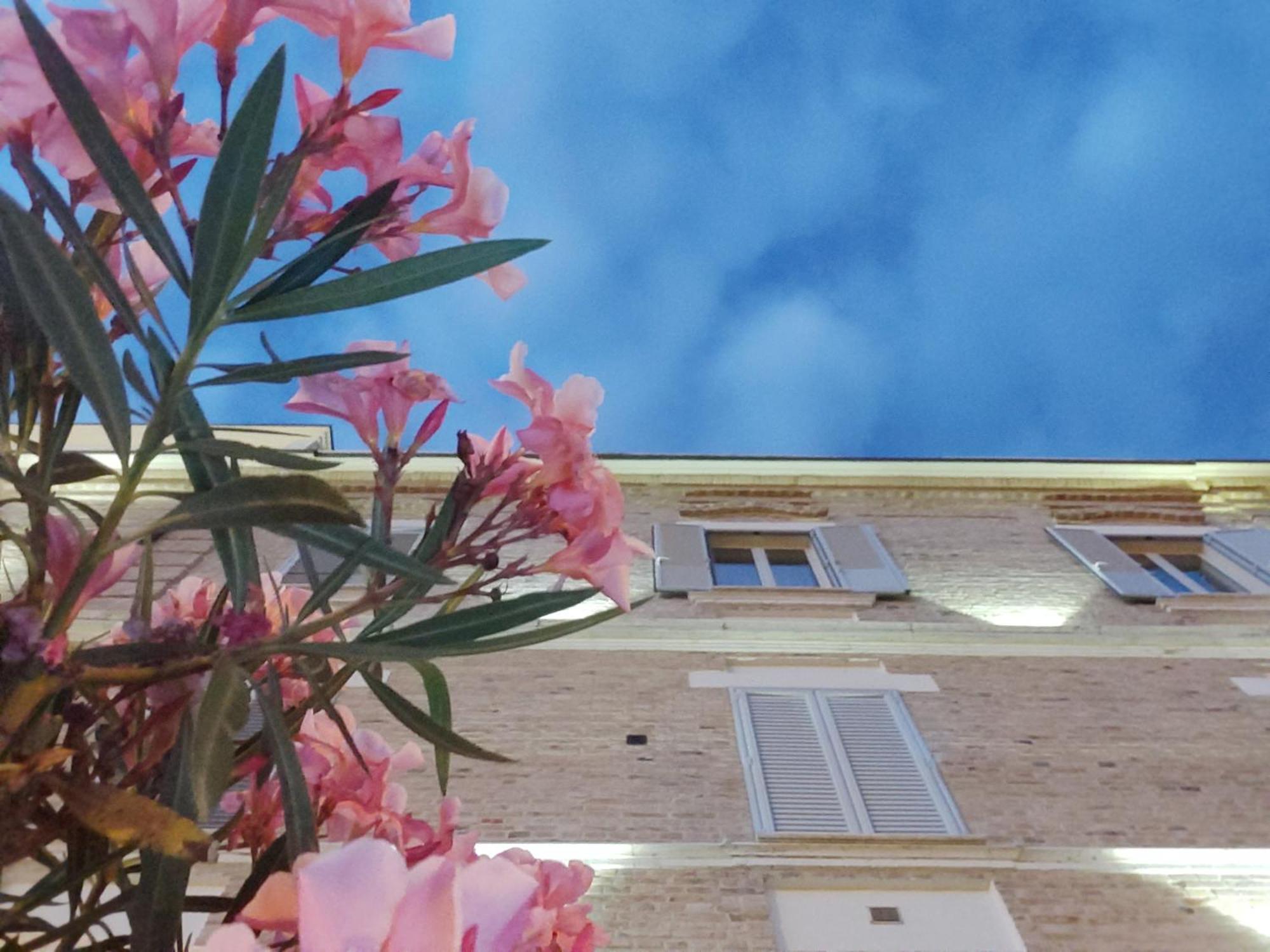Villa Contessina Cossignano Buitenkant foto
